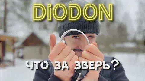 Долгожданная ЭВОЛЮЦИЯ в СКЛАДНЫХ ПЛАВНИКАХ ⁉️ Туринговый складной плавник DIODON 🤙🏼